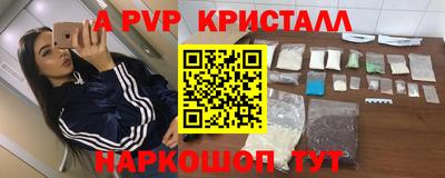 спиды Камышлов