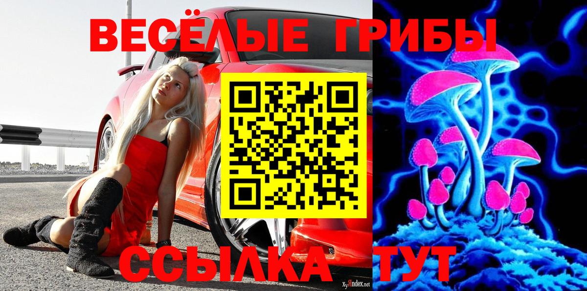 Псилоцибиновые грибы Psilocybine cubensis Курчалой