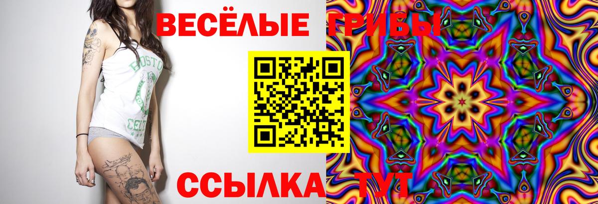 Галлюциногенные грибы MAGIC MUSHROOMS  Вход с VPN  Курчалой 